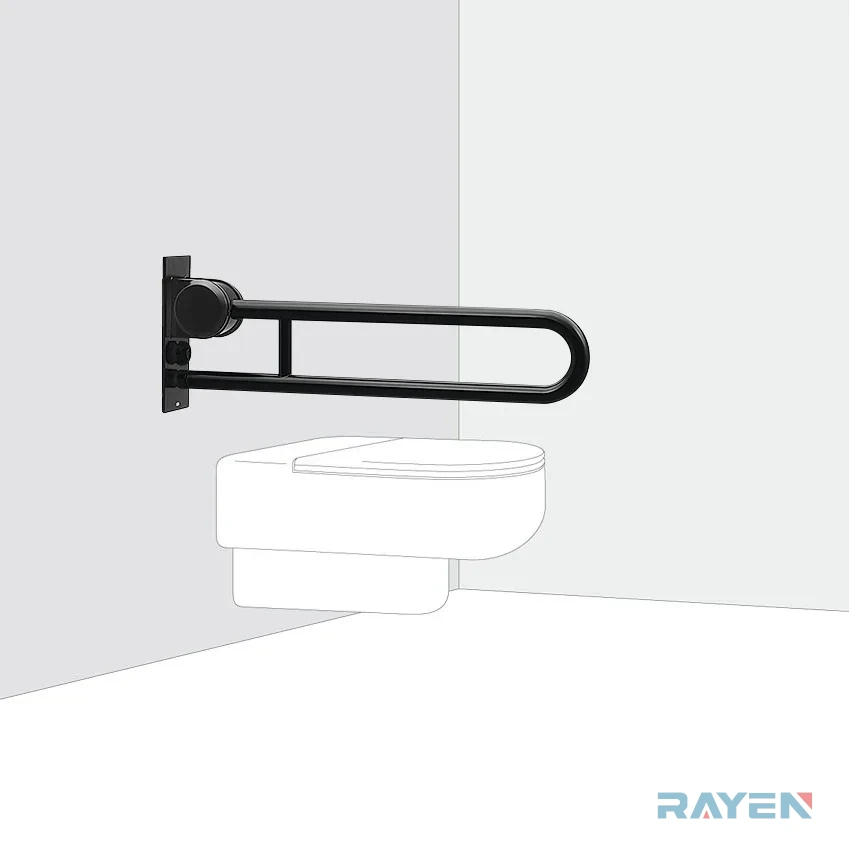 Care Grab Bars