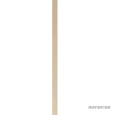 雷茵 3x2.5x2.5-2BB 轴承合页